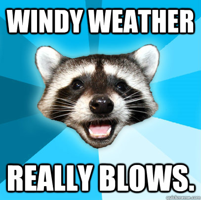 Windy weather really blows. - Windy weather really blows.  Lame Pun Coon