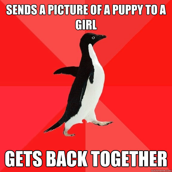 Sends a picture of a puppy to a girl gets back together
  Socially Awesome Penguin