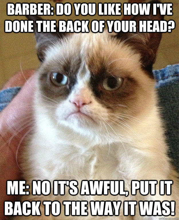 Barber: Do you like how I've done the back of your head? Me: no it's awful, put it back to the way it was!  Grumpy Cat