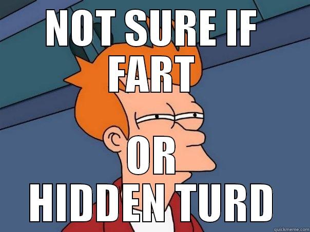 NOT SURE IF FART OR HIDDEN TURD Futurama Fry