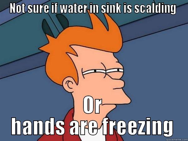 NOT SURE IF WATER IN SINK IS SCALDING OR HANDS ARE FREEZING Futurama Fry