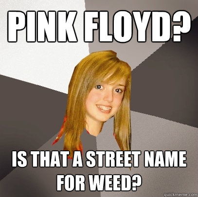 pink floyd? is that a street name for weed?   Musically Oblivious 8th Grader