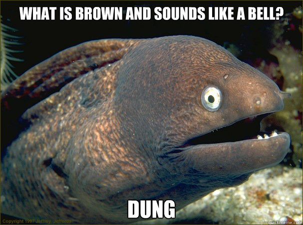 What is brown and sounds like a bell? Dung
  Bad Joke Eel