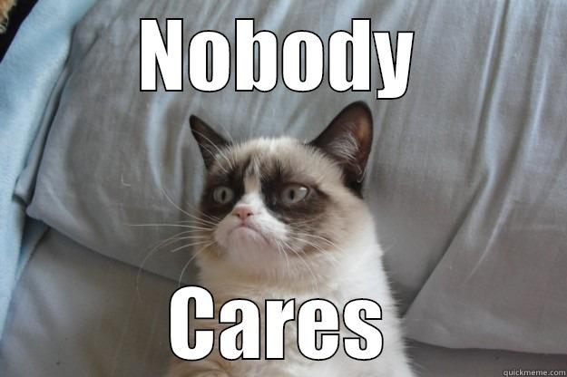 NOBODY CARES Grumpy Cat