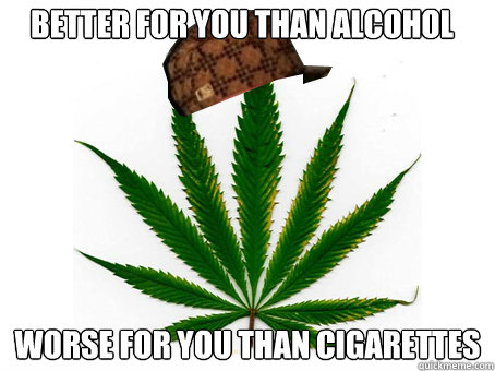 Better for you than alcohol worse for you than cigarettes  Scumbag Marijuana