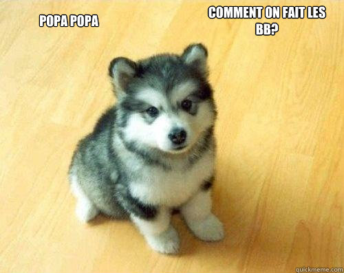 Popa popa Comment on fait les bébé?  Baby Courage Wolf