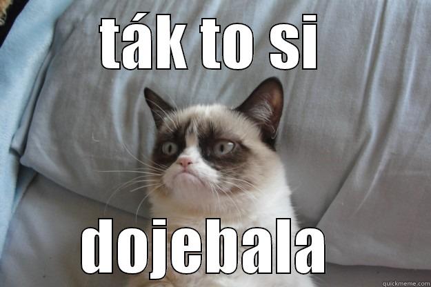 TÁK TO SI DOJEBALA  Grumpy Cat