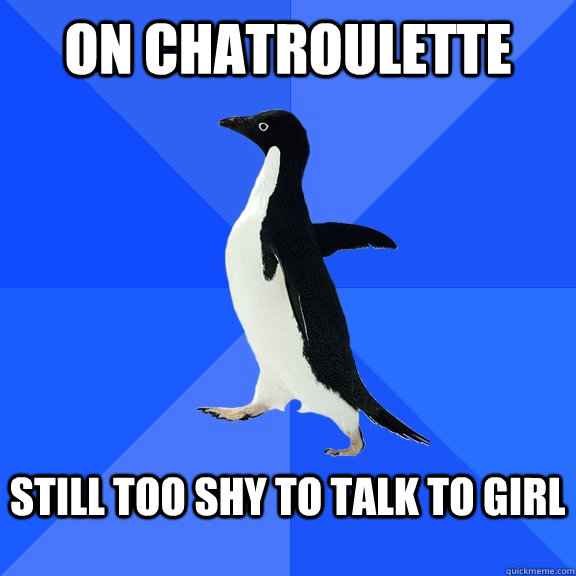 on chatroulette   still too shy to talk to girl   Socially Awkward Penguin