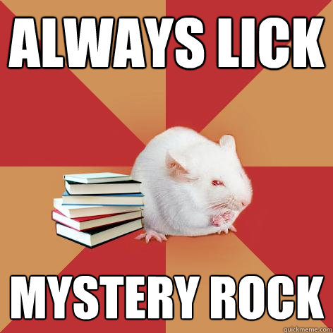 always lick mystery rock - always lick mystery rock  Science Major Mouse