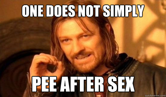 One Does Not Simply pee after sex  Boromir