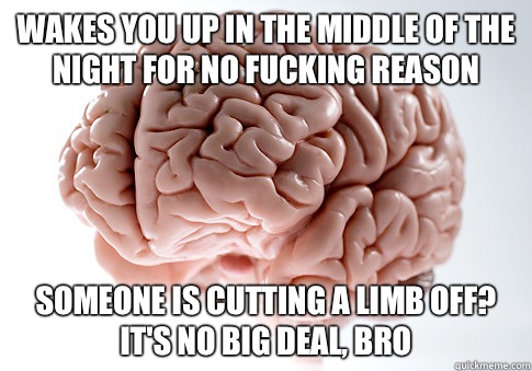 Wakes you up in the middle of the night for no fucking reason Someone is cutting a limb off? It's no big deal, bro  Scumbag Brain