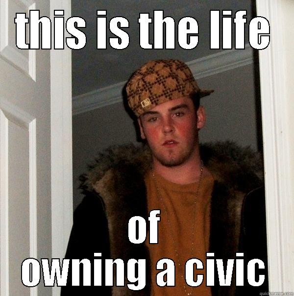 THIS IS THE LIFE OF OWNING A CIVIC Scumbag Steve