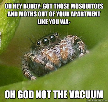 Oh hey buddy, got those mosquitoes and moths out of your apartment like you wa- Oh god not the vacuum - Oh hey buddy, got those mosquitoes and moths out of your apartment like you wa- Oh god not the vacuum  Misunderstood Spider