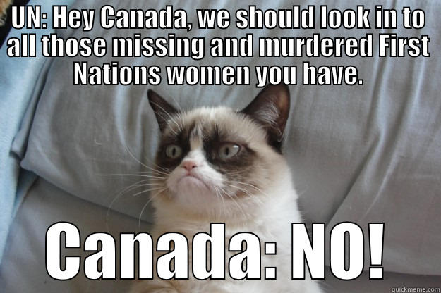 How Harper does human rights... - UN: HEY CANADA, WE SHOULD LOOK IN TO ALL THOSE MISSING AND MURDERED FIRST NATIONS WOMEN YOU HAVE. CANADA: NO! Grumpy Cat