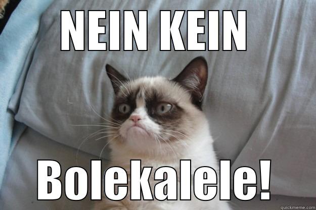 NEIN KEIN BOLEKALELE! Grumpy Cat