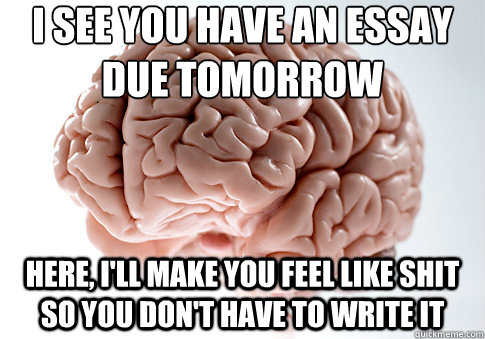 i see you have an essay due tomorrow here, i'll make you feel like shit so you don't have to write it  Scumbag Brain