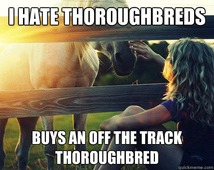 I hate thoroughbreds Buys an off the track thoroughbred - I hate thoroughbreds Buys an off the track thoroughbred  Annoying equestrians