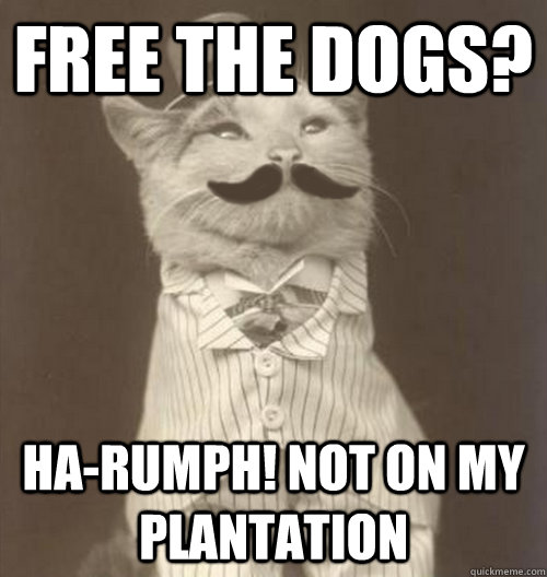 Free the dogs? Ha-rumph! Not on my plantation  Original Business Cat