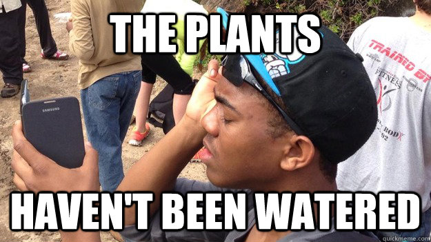 The plants haven't been watered  