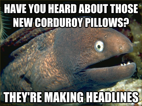 Have you heard about those new Corduroy pillows? They're making headlines  Bad Joke Eel