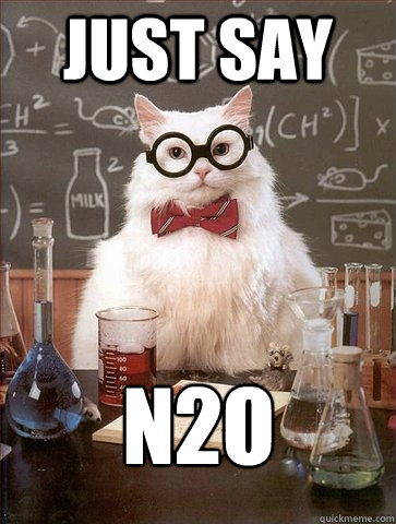 Just Say N2O - Just Say N2O  Chemistry Cat