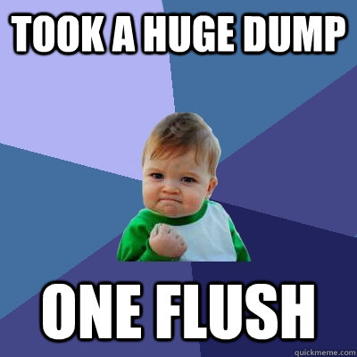 Took a huge dump One flush  Success Kid