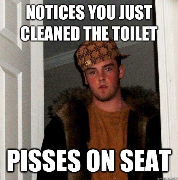 Notices you just cleaned the toilet PISSES ON SEAT   Scumbag Steve