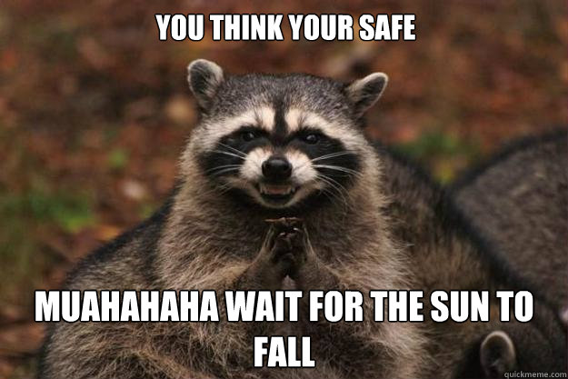 you think your safe  muahahaha wait for the sun to fall  Evil Plotting Raccoon