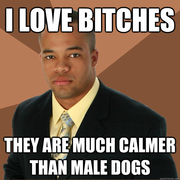 I love bitches They are much calmer than male dogs  Successful Black Man