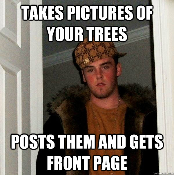 Takes pictures of your trees Posts them and gets front page  Scumbag Steve