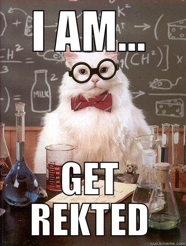 I AM... GET REKTED Chemistry Cat