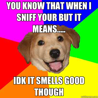 YOU KNOW THAT WHEN I SNIFF YOUR BUT IT MEANS..... IDK IT SMELLS GOOD THOUGH  Advice Dog