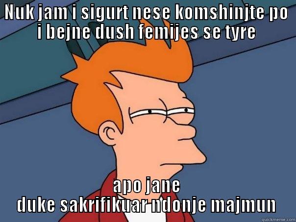 NUK JAM I SIGURT NESE KOMSHINJTE PO I BEJNE DUSH FEMIJES SE TYRE APO JANE DUKE SAKRIFIKUAR NDONJE MAJMUN Futurama Fry