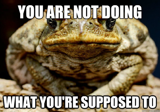 YOU are not doing what you're supposed to  Incompetent Teacher Toad