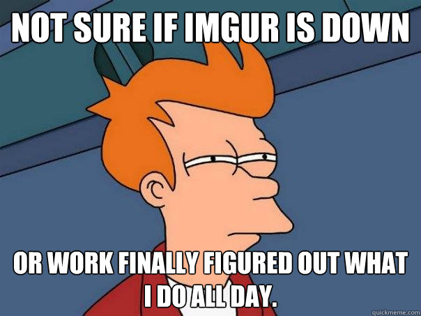 Not sure if Imgur is down  Or work finally figured out what I do all day.  Futurama Fry