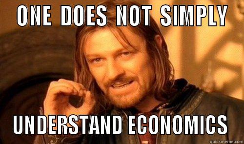 GCSE Economics -  ONE  DOES  NOT  SIMPLY UNDERSTAND ECONOMICS Misc