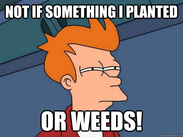 Not if something I planted Or WEEDS!  Futurama Fry