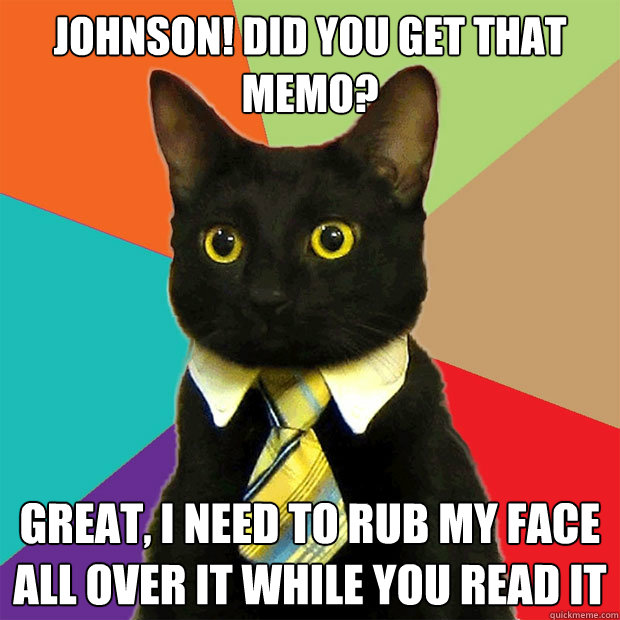 Johnson! Did you get that memo? Great, I need to rub my face all over it while you read it - Johnson! Did you get that memo? Great, I need to rub my face all over it while you read it  Business Cat