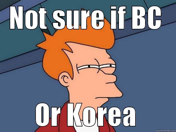 NOT SURE IF BC OR KOREA Futurama Fry