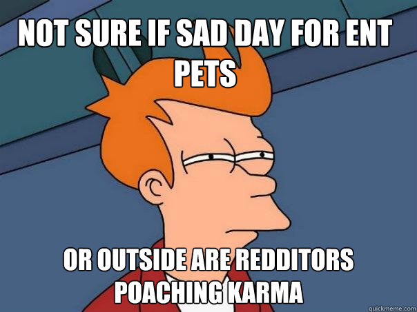 Not sure if sad day for ent pets or outside are redditors poaching karma - Not sure if sad day for ent pets or outside are redditors poaching karma  Futurama Fry