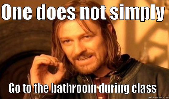 Bathroom Pass - ONE DOES NOT SIMPLY  GO TO THE BATHROOM DURING CLASS  Boromir