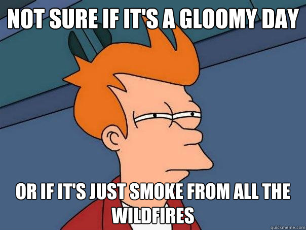 Not sure if it's a gloomy day Or if it's just smoke from all the wildfires  Futurama Fry