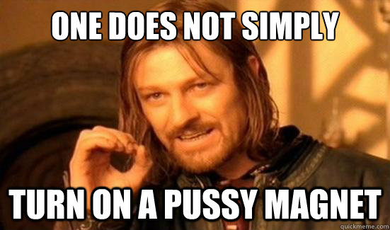 One Does Not Simply Turn on a pussy magnet  Boromir