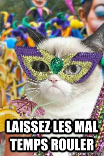  Laissez les mal temps rouler  grumpy mardi gras cat