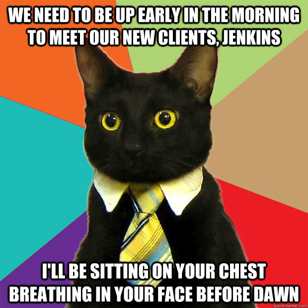 we need to Be up early in the morning to meet our new clients, jenkins i'll be sitting on your chest breathing in your face before dawn   Business Cat