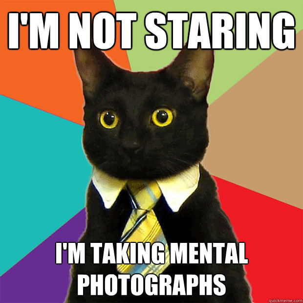 I'm not staring I'm taking mental photographs  Business Cat