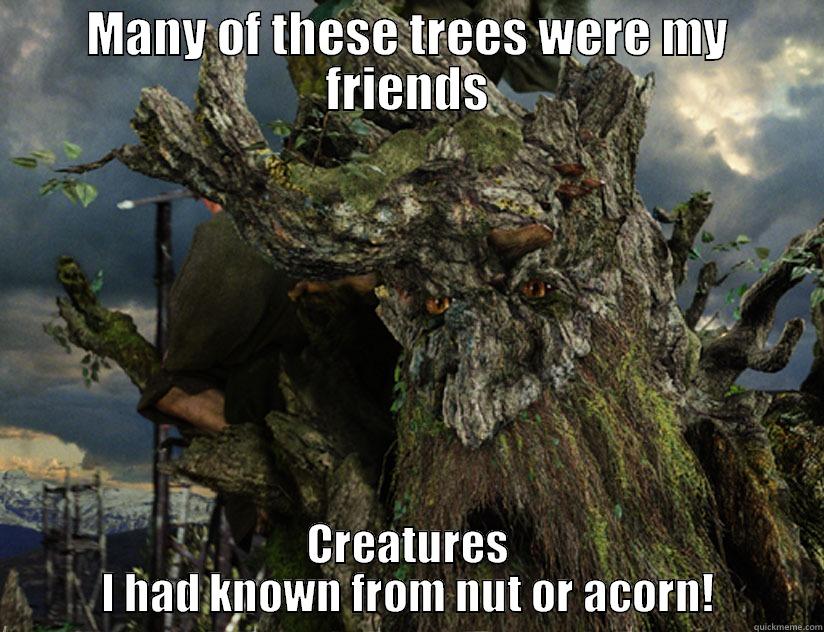 Sad treebeard - MANY OF THESE TREES WERE MY FRIENDS CREATURES I HAD KNOWN FROM NUT OR ACORN! Misc