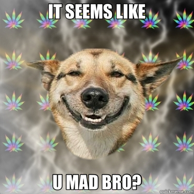 IT SEEMS LIKE U MAD BRO?  Stoner Dog