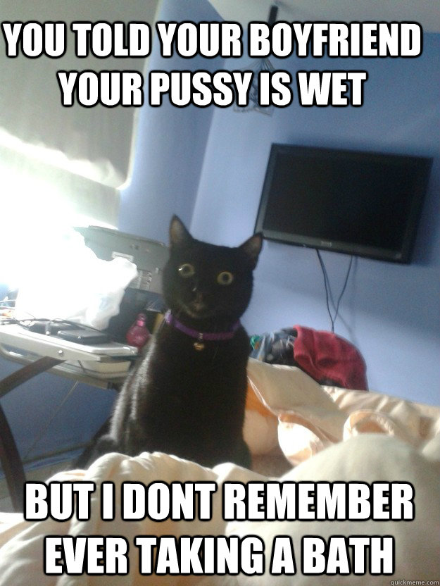 You told your boyfriend your pussy is wet But i dont remember ever taking a bath  overly attached cat