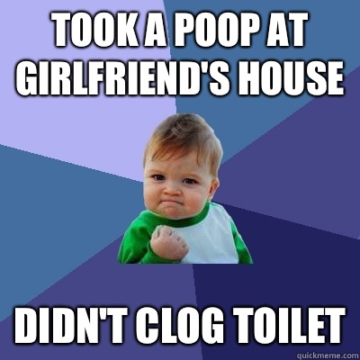 Took a poop at girlfriend's house Didn't clog toilet  Success Kid